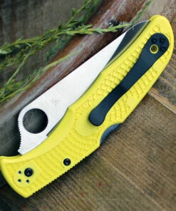 Spyderco Knives Spyderco Pacific Salt 2 Yellow FRN (3.8" H-1 Serr) C91PYL2 -Knifeworks Sales Store C91PYL2.2 75176.1630769072