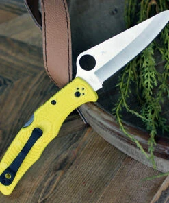Spyderco Knives Spyderco Pacific Salt 2 Yellow FRN (3.8" H-1 Serr) C91PYL2 -Knifeworks Sales Store C91PYL2 36160.1630769072