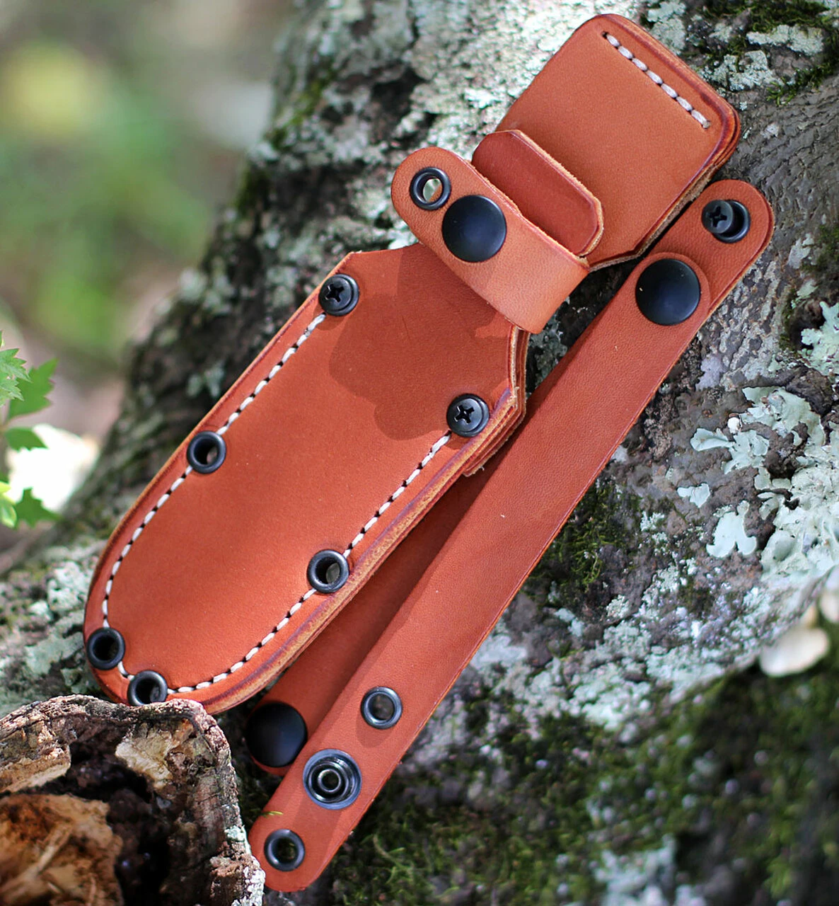 Bark River Knives Chute Knife 07152MGC, 4.25" CPM-154 Drop Point Plain Blade, Green Canvas Handle 3 Bark River Knives Chute Knife 07152MGC, 4.25" CPM-154 Drop Point Plain Blade, Green Canvas Handle - Image 3