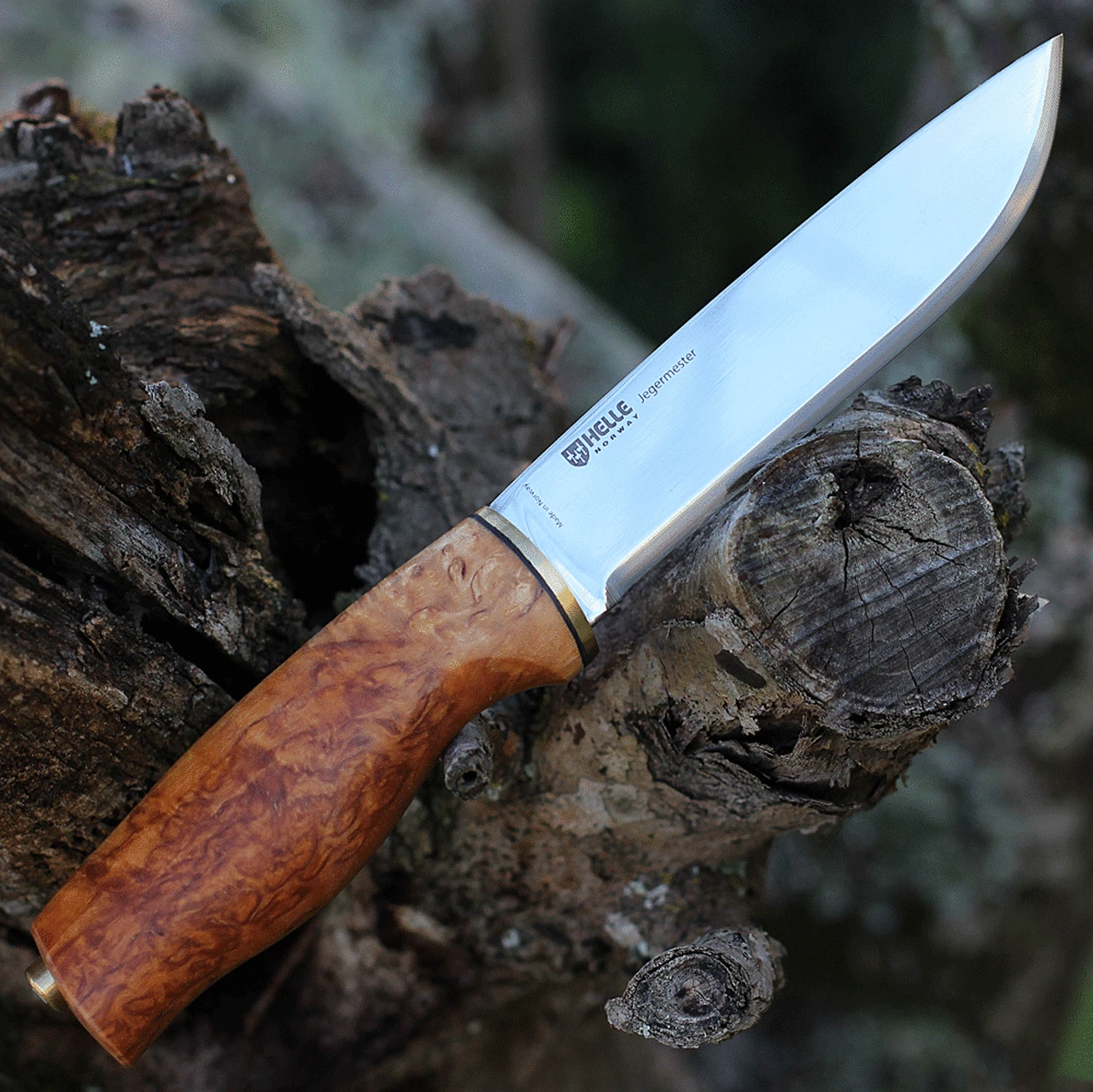 Helle Jegermester, 5.31 in. Sandvik 12C27 stainless steel, Curly Birch Handle 1 Helle Jegermester, 5.31 in. Sandvik 12C27 stainless steel, Curly Birch Handle