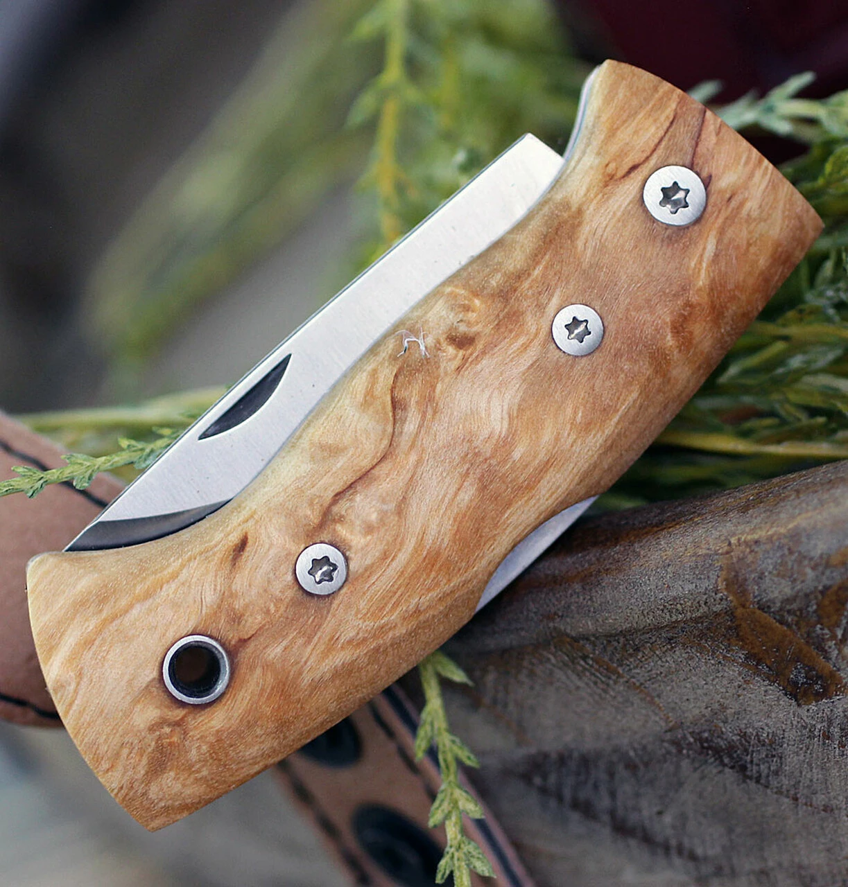 Helle Kletten Lockback Folder 662, 2.12" Triple Laminated Stainless Steel Drop Point Plain Blade, Curly Birch Handle 3 Helle Kletten Lockback Folder 662, 2.12" Triple Laminated Stainless Steel Drop Point Plain Blade, Curly Birch Handle - Image 3