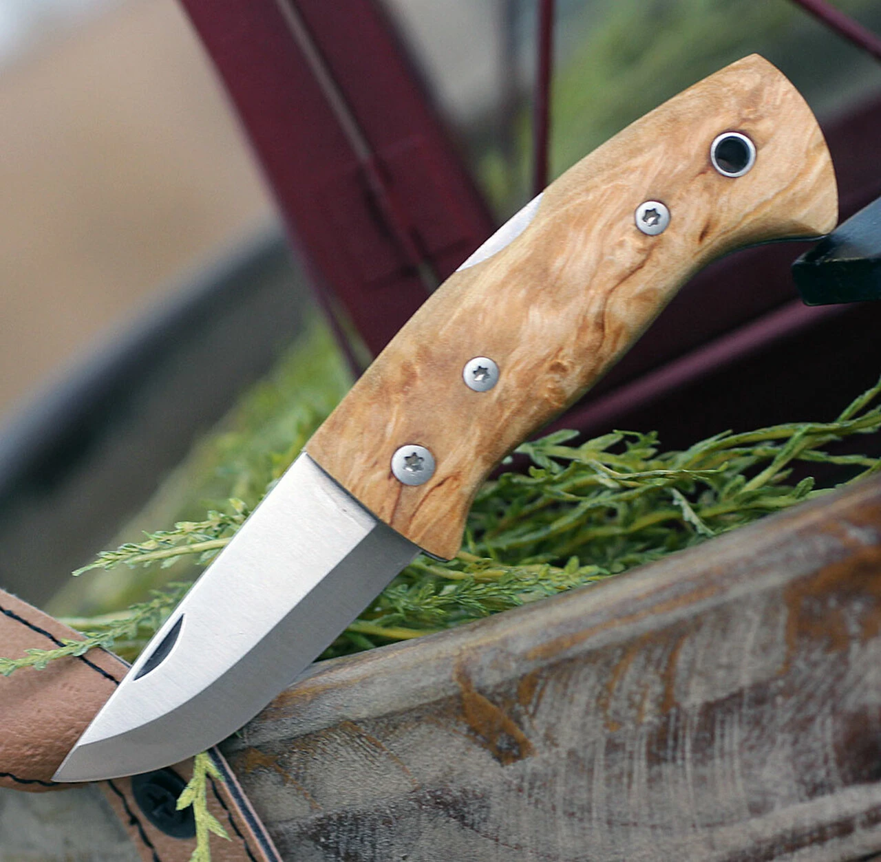 Helle Kletten Lockback Folder 662, 2.12" Triple Laminated Stainless Steel Drop Point Plain Blade, Curly Birch Handle 2 Helle Kletten Lockback Folder 662, 2.12" Triple Laminated Stainless Steel Drop Point Plain Blade, Curly Birch Handle - Image 2