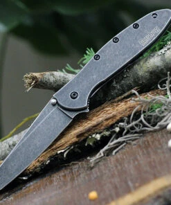 Kershaw Knives Kershaw Random Leek - SW Blk (3" 14C28N SW Blk Reverse Tanto) 1660RBW