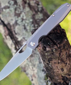 Kizer Cutlery Genie - Gray Titanium (3.4" CPM-S35VN SW) Ki4545A1