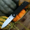 QSP Knife Parrot Linerlock QS102A, 3.25" D2 Satin Blade, Black G10 Handle