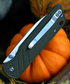 QSP Knife Parrot Linerlock QS102B, 3.25" D2 Satin Blade, Green G10 Handle -Knifeworks Sales Store QS102 Green.2 99835.1603807022