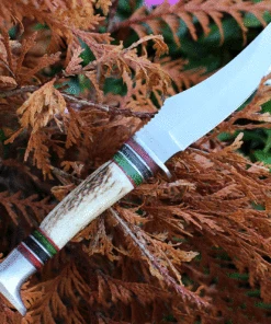 Rough Ryder Stag Skinner - Red / Green Stag (5" Satin SS) RR2248 -Knifeworks Sales Store RR2248.1 66049.1634138299