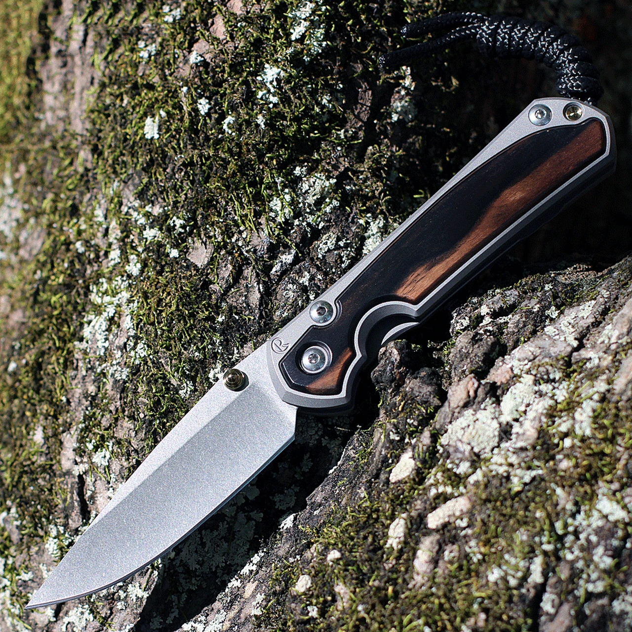Chris Reeve Small Sebenza 31 - Matt-Blasted Ti w/ Macassar Ebony (3 " CPM S45VN SW ) S31-1116 1 Chris Reeve Small Sebenza 31 - Matt-Blasted Ti w/ Macassar Ebony (3 " CPM S45VN SW ) S31-1116