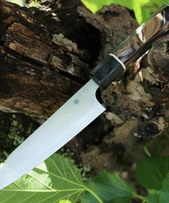 Spyderco Knives Spyderco Itamae Funayuki Utility Knife K16GPBNBK, 6.2" SUS410 Satin Plain Blade, Burl G-10 Handle