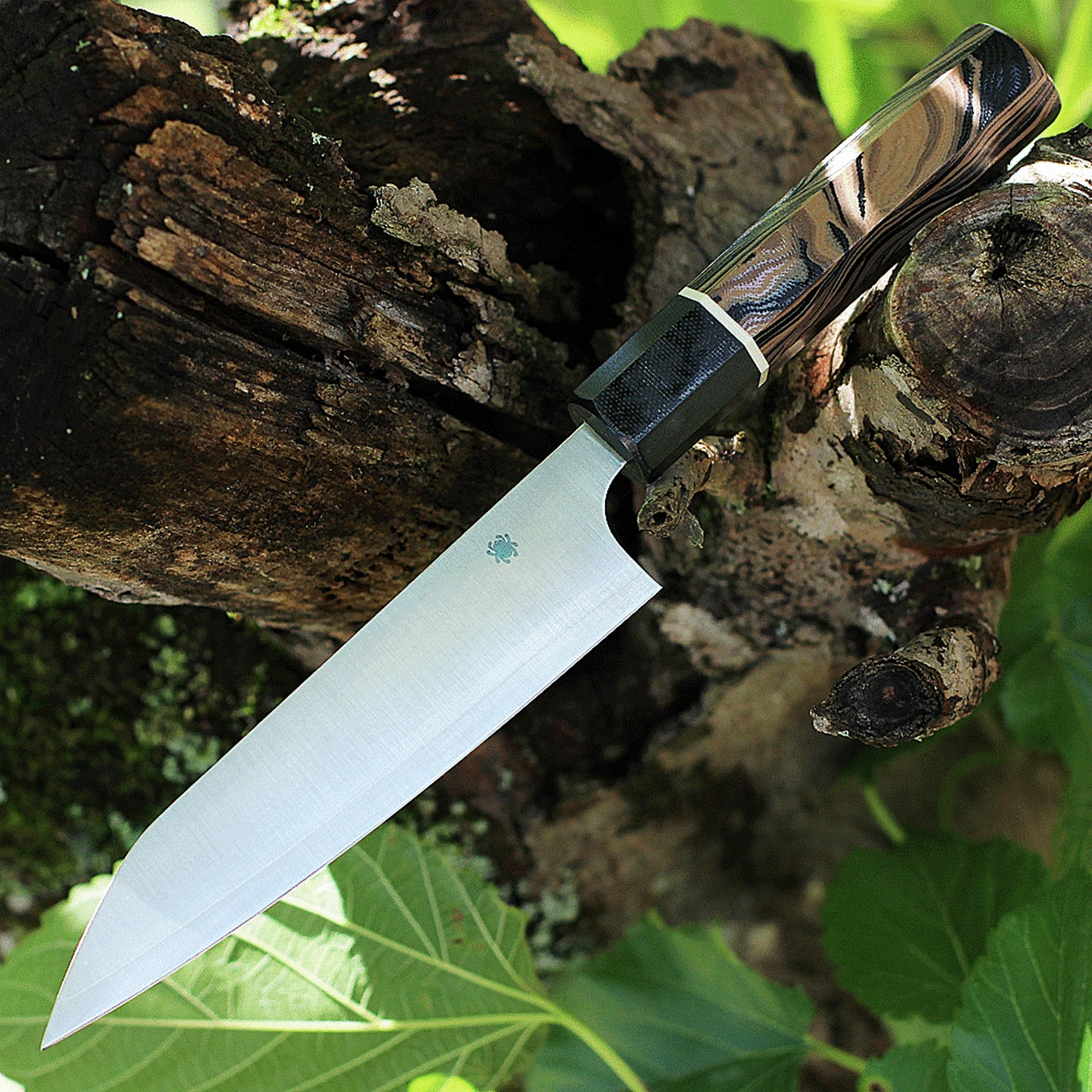 Spyderco Knives Spyderco Itamae Funayuki Utility Knife K16GPBNBK, 6.2" SUS410 Satin Plain Blade, Burl G-10 Handle 1 Spyderco Knives Spyderco Itamae Funayuki Utility Knife K16GPBNBK, 6.2" SUS410 Satin Plain Blade, Burl G-10 Handle