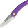 Svord Knives Svord Amerikiwi Skinner - Purple (3.5" 15N20 Satin) AMKIPP