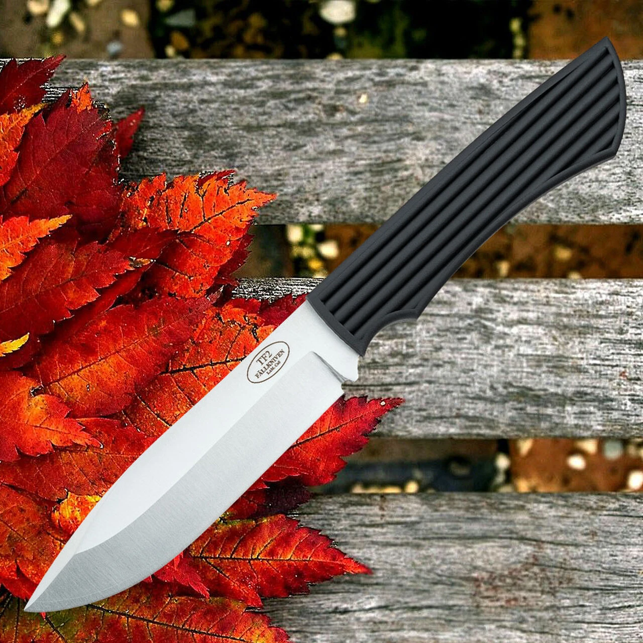 Fallkniven Taiga Forester 2, 4.72" Lam. CoS Plain Blade, Black Thermorun Handle w/ Zytel Sheath 1 Fallkniven Taiga Forester 2, 4.72" Lam. CoS Plain Blade, Black Thermorun Handle w/ Zytel Sheath