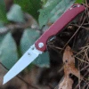 Kizer Cutlery Kizer Mini Begleiter - Red Micarta (2.87" N690 Satin) V3458RN3