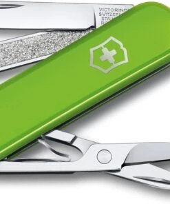 Victorinox Swiss Army Classic SD Smashed Avocado - 0.6223.43G