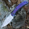 We Knife Co. WE Knife Snick - Blk Ti / Timascus (3.5" Heimskringla Damasteel) WE19022F-DS1