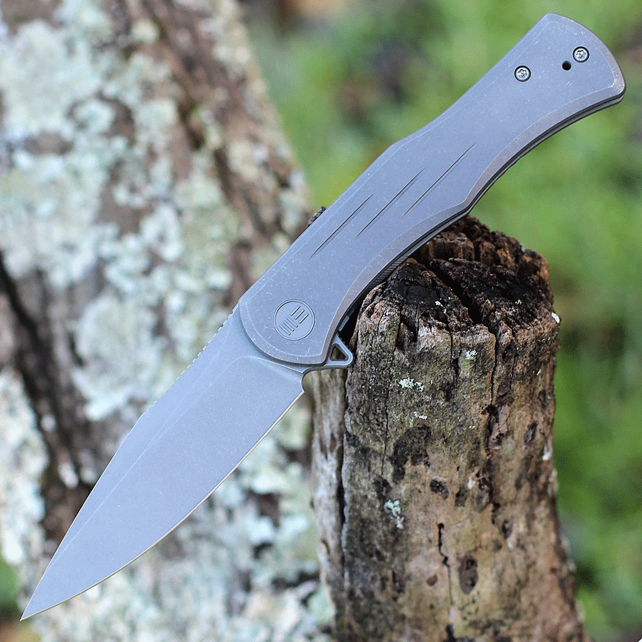 We Knife Co. WE Knife Primoris Gray Ti (3.5" CPM 20CV Gray SW) 20047A-1 1 We Knife Co. WE Knife Primoris Gray Ti (3.5" CPM 20CV Gray SW) 20047A-1