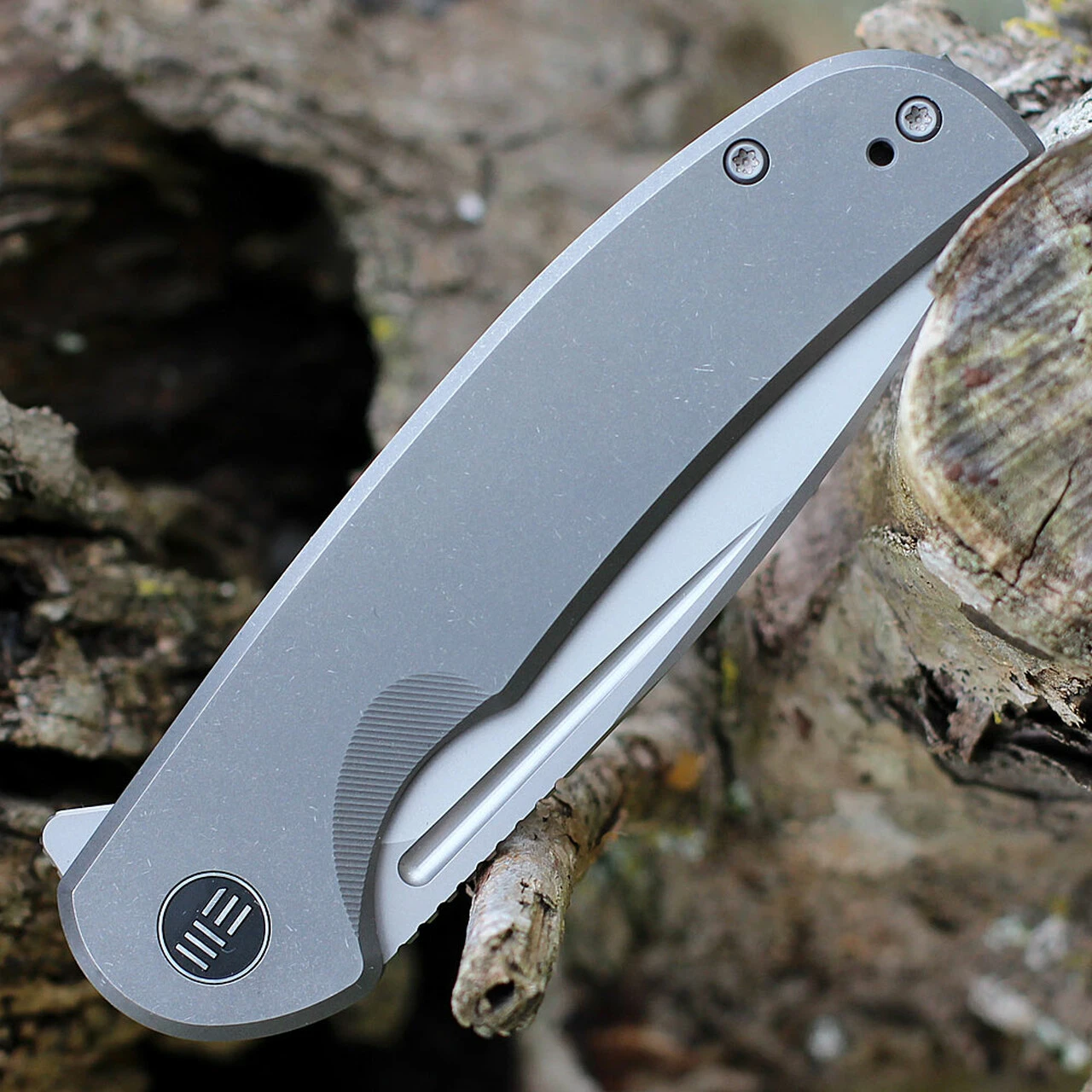 We Knife Co. WE Knife Beacon - Gray Ti (3.5" CPM 20CV BB) WE20061B-1 3 We Knife Co. WE Knife Beacon - Gray Ti (3.5" CPM 20CV BB) WE20061B-1 - Image 3