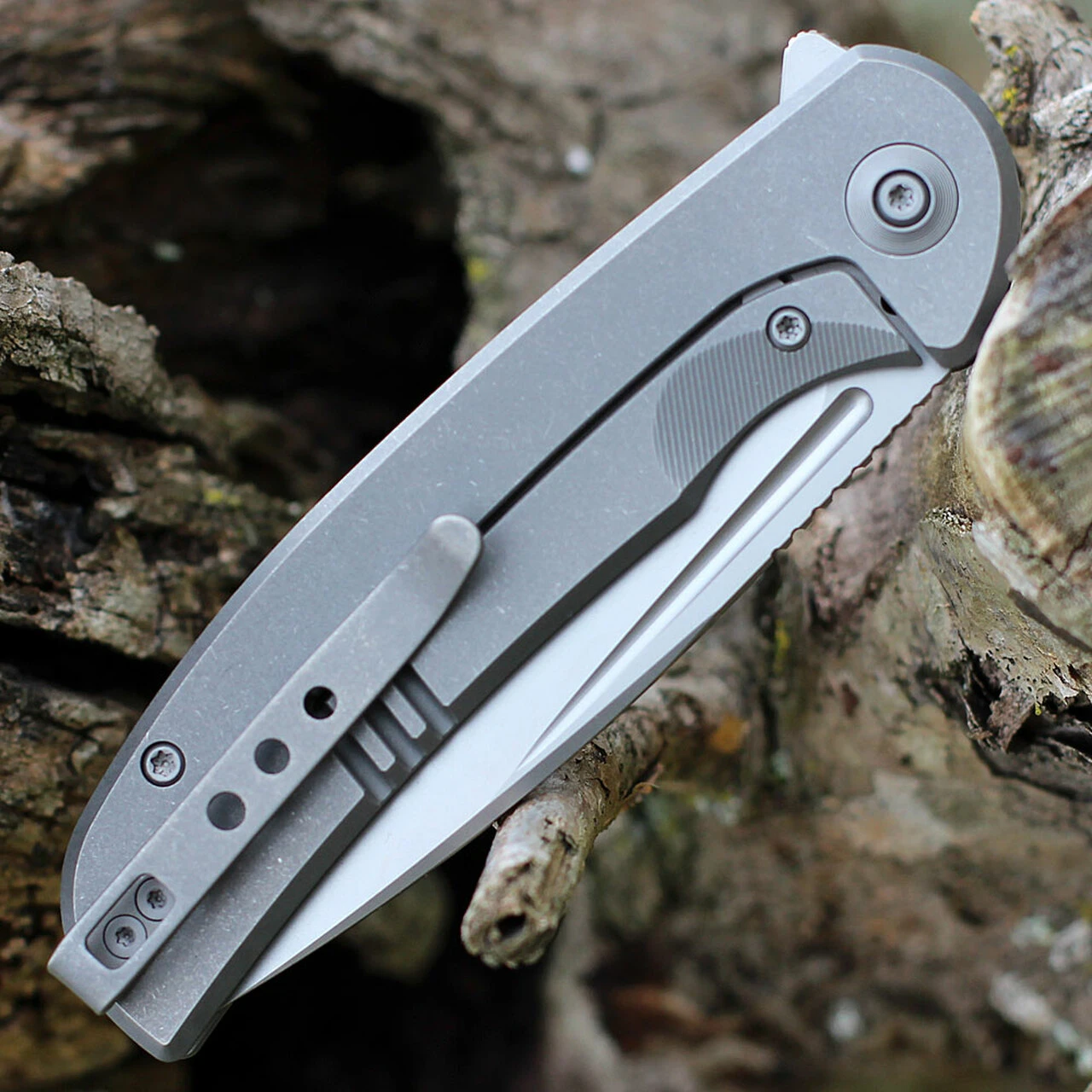 We Knife Co. WE Knife Beacon - Gray Ti (3.5" CPM 20CV BB) WE20061B-1 4 We Knife Co. WE Knife Beacon - Gray Ti (3.5" CPM 20CV BB) WE20061B-1 - Image 4