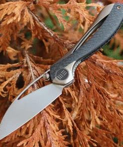 We Knife Co. We Knife Pleroma - Champagne Ti / CF (2.95” M390 Satin) 821B