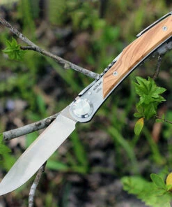 Actilam T3WC Olive Wood Folder w/ Clip, 3.25 in X50CrMoV15N Plain Blade