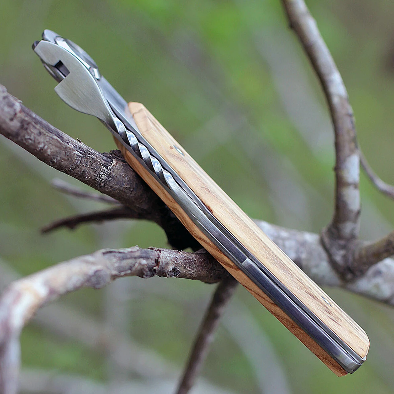 Actilam T3WC Olive Wood Folder w/ Clip, 3.25 in X50CrMoV15N Plain Blade 3 Actilam T3WC Olive Wood Folder w/ Clip, 3.25 in X50CrMoV15N Plain Blade - Image 3