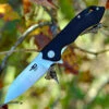 Bestech BTKG11A2 Beluga, 3.0" Sandvick 12C27 Stonewash Plain Blade, Black G-10 Handle