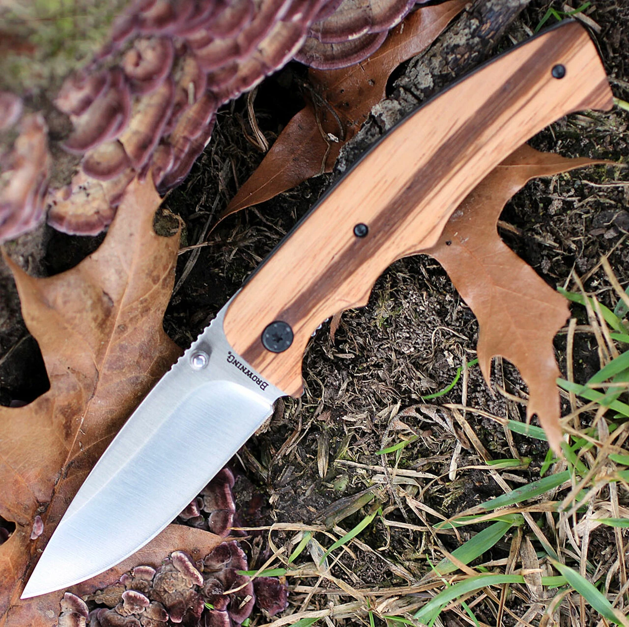 Browning Knives Browning Zebra Wood Linerlock, 3.25" Stainless Plain Blade, Zebra Wood Handle 1 Browning Knives Browning Zebra Wood Linerlock, 3.25" Stainless Plain Blade, Zebra Wood Handle