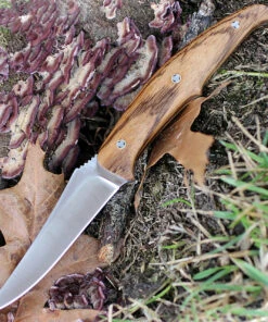 Browning Knives Browning Zebra Wood Fixed Blade, 4" Stainless Plain Blade, Zebra Wood Handle