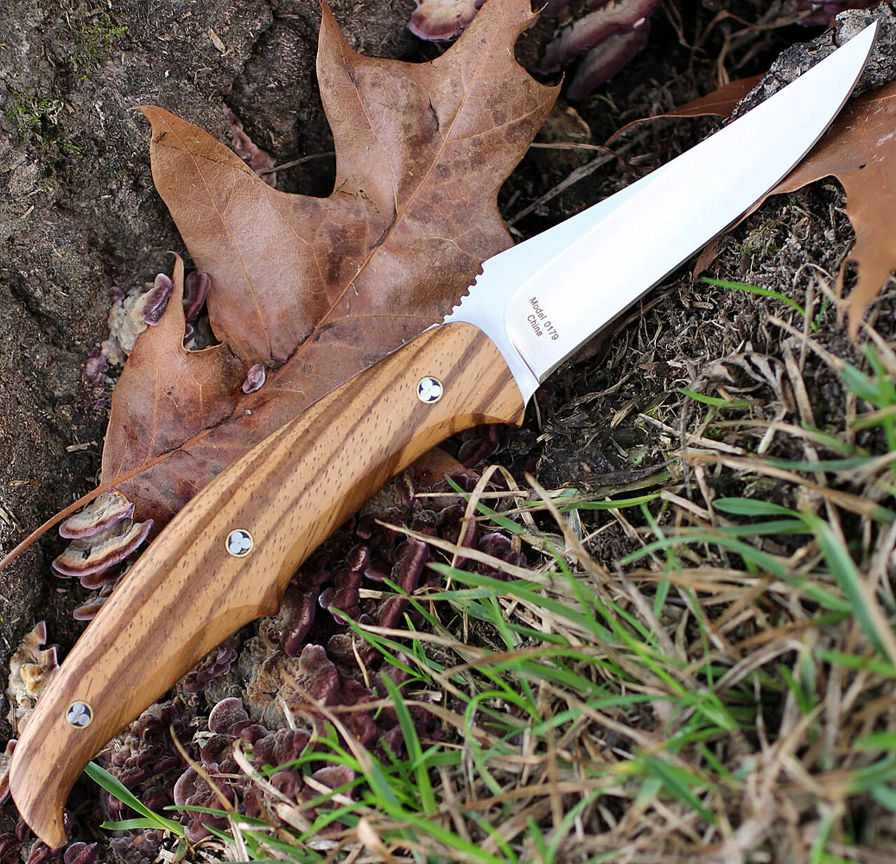 Browning Knives Browning Zebra Wood Fixed Blade, 4" Stainless Plain Blade, Zebra Wood Handle 2 Browning Knives Browning Zebra Wood Fixed Blade, 4" Stainless Plain Blade, Zebra Wood Handle - Image 2