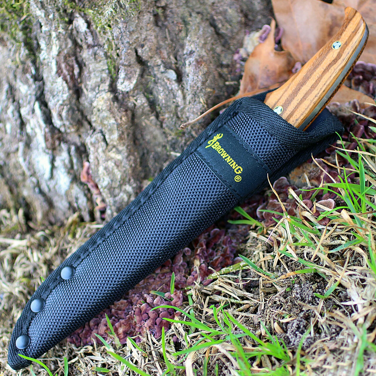 Browning Knives Browning Zebra Wood Fixed Blade, 4" Stainless Plain Blade, Zebra Wood Handle 3 Browning Knives Browning Zebra Wood Fixed Blade, 4" Stainless Plain Blade, Zebra Wood Handle - Image 3