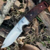Browning Knives Browning Cocobolo Fixed Blade, 3." Stainless Plain Blade, Cocobolo Handle