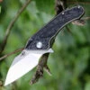 Bestech T1711A Goblin, 2" CPM-S35VN Plain Blade, Titanium Handle w/Carbon Fiber Inlay