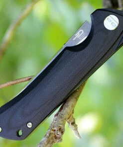 Bestech Paladin BG13A-2, 3.54" D2 Steel Black/Satin Plain Blade, Black G-10 Handle -Knifeworks Sales Store btbg13a2.2 34553.1566585986