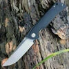 Bestech Paladin BG13A-2, 3.54" D2 Steel Black/Satin Plain Blade, Black G-10 Handle