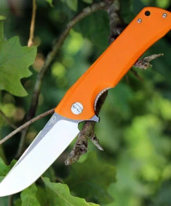 Bestech Paladin BG13C-2, 3.54" D2 Steel Black/Satin Plain Blade, Orange G-10 Handle