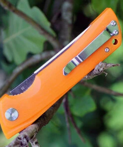 Bestech Paladin BG13C-2, 3.54" D2 Steel Black/Satin Plain Blade, Orange G-10 Handle -Knifeworks Sales Store btbg13c2.3 15571.1566585995