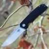 Bestech G01A Lion, 3.5" D2 Plain Blade, Black G-10 Handle