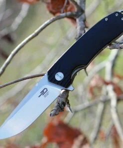 Bestech G01A Lion, 3.5" D2 Plain Blade, Black G-10 Handle