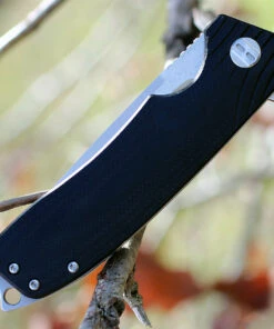 Bestech G01A Lion, 3.5" D2 Plain Blade, Black G-10 Handle -Knifeworks Sales Store btkg01a.2 97369.1566585977