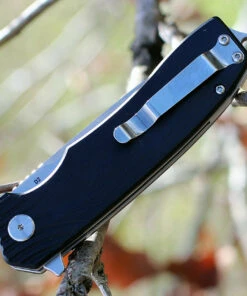 Bestech G01A Lion, 3.5" D2 Plain Blade, Black G-10 Handle -Knifeworks Sales Store btkg01a.3 22767.1566585977