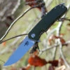 Bestech G01B Lion, 3.5" D2 Plain Blade, OD Green G-10 Handle