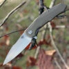 Bestech G04C Warwolf, 3.5" D2 Plain Blade, Army Green G-10 Handle