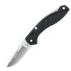 Buck Knives Buck 363BKS Rival SS, 1.9" 420HC Plain Blade, Black Nylon Handle