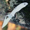 Byrd Knives Byrd BY01PS2 HARRIER™ 2 STAINLESS, 3.36" 8Cr13MoV Combo Blade, SS Handle