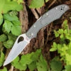 Byrd Knives BYRD BY03PGY2 CARA CARA 2, 3.75" 8Cr13MoV Plain Blade, Gray FRN Handle