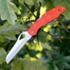 Byrd Knives BYRD 17SOR2 Cara Cara 2 Rescue, 3.8" 8Cr13MoV Serrated Blade, Orange FRN Handle