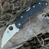 Spyderco Knives Spyderco C11FSWCBK Delica 4 Wharncliffe, 2.87" Serrated Edge, FRN Handles