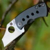 Spyderco Knives Spyderco MCBEE C236TIP, 1.52" CTS-XHP Steel Plain Blade, Titanium Handle