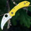 Spyderco Knives Spyderco Dragonfly2 Hawkbill Salt C28SYL2HB, 2.3 in. H-1 Serrated Blade, Yellow FRN Handle