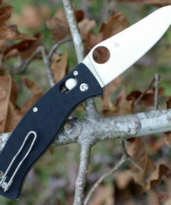 Spyderco Knives Spyderco C82GP3 D’Allara 3, 3.30 in CPM S30V plain Blade, G-10 Handle -Knifeworks Sales Store c82gp3.2 80567.1566585914